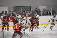 Ligue régionale de hockey : le Wild de Windsor perd en finale